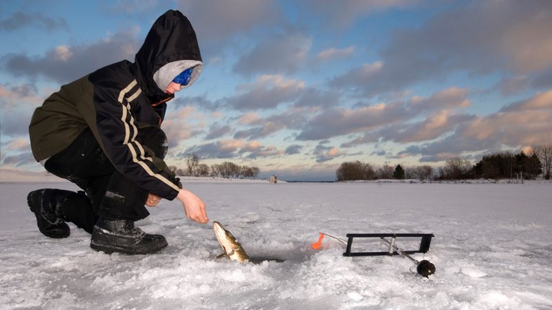 Experience the Thrill of Ice Fishing Live at UK's Top Online Casinos in United Kigdom